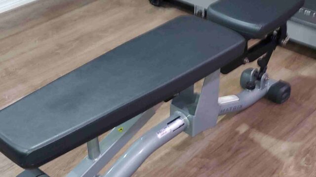 bench