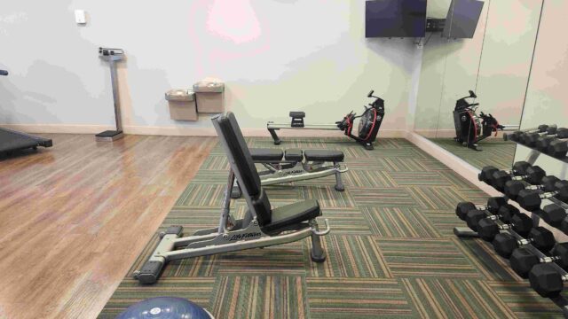 bench row