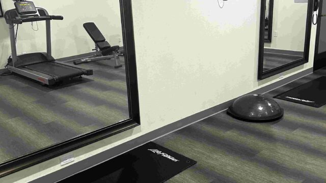 bosu