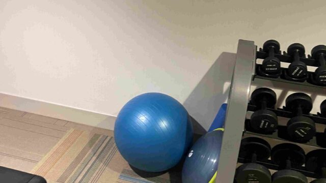bosu