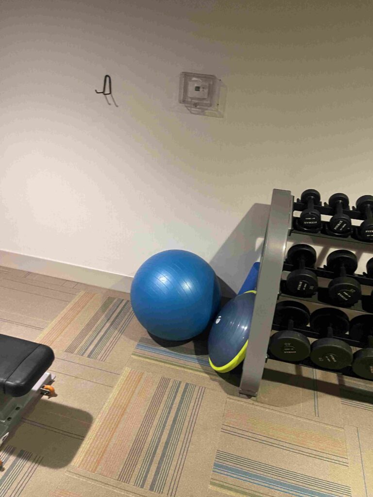 bosu