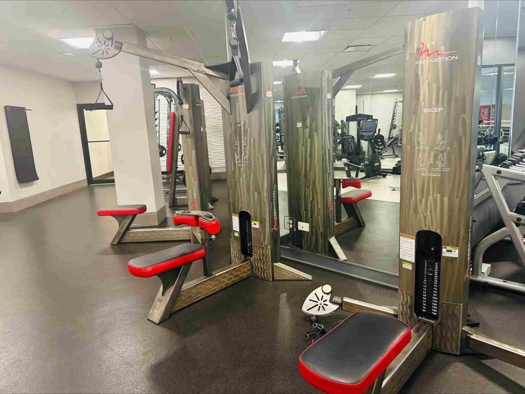 free-motion-equipment