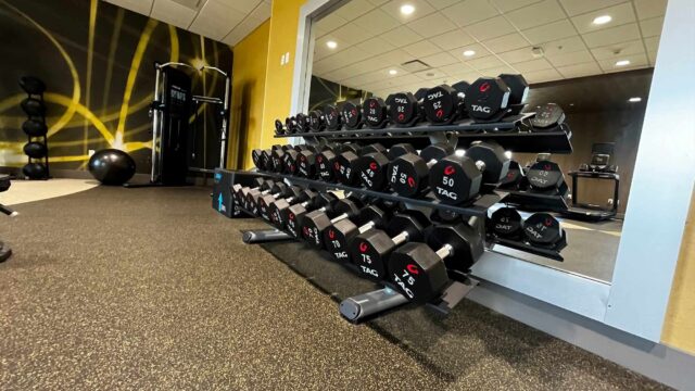 dumbbells