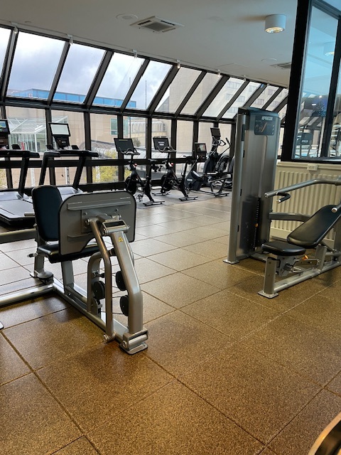 chest-press