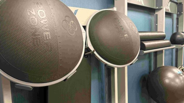 bosu