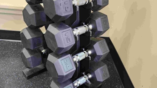 Free-Weights-2