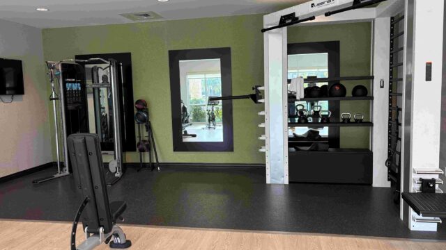 Queenex-functional-trainer