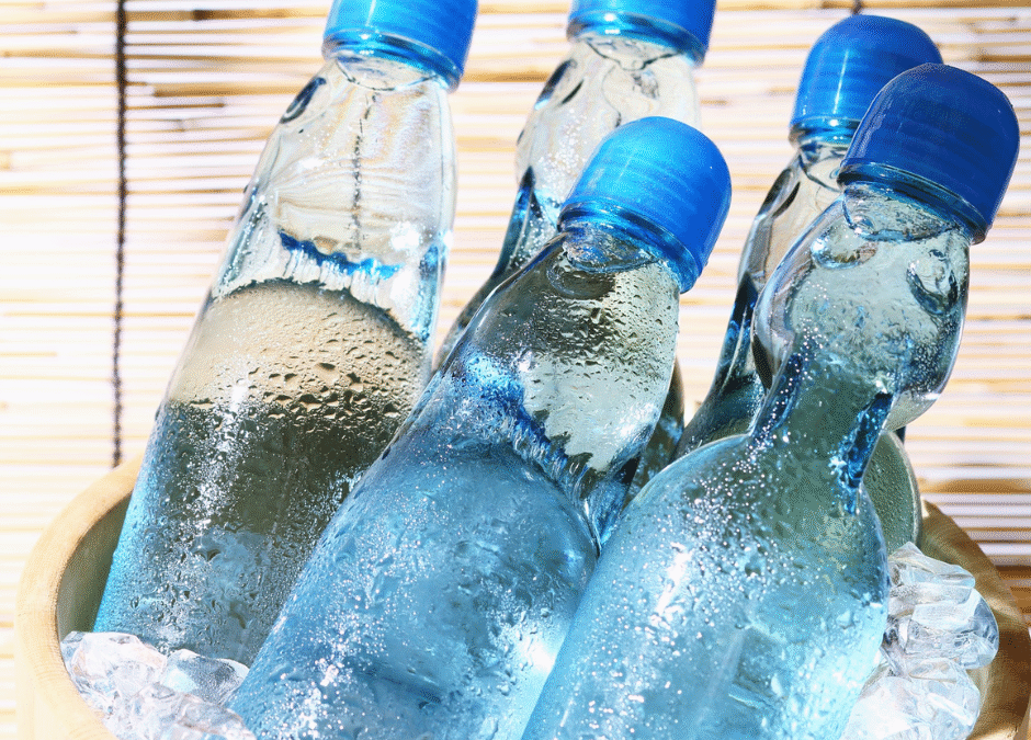 Hydration, Gut Health & Digestion Tips for Frequent Flyers