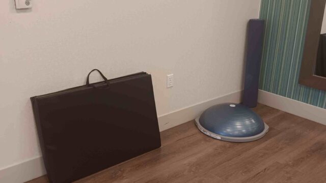 bosu