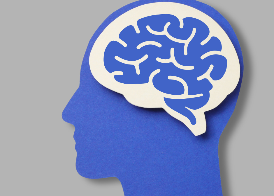From Jet Lag to Flow State: Rewiring Your Brain for Travel Resilience